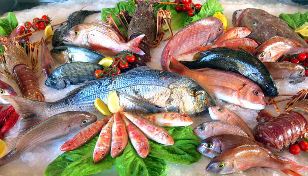 Отзывы о франшизе Рыбсеть: инвестиции, преимущества, Fish Hunter, магазины морепродуктов