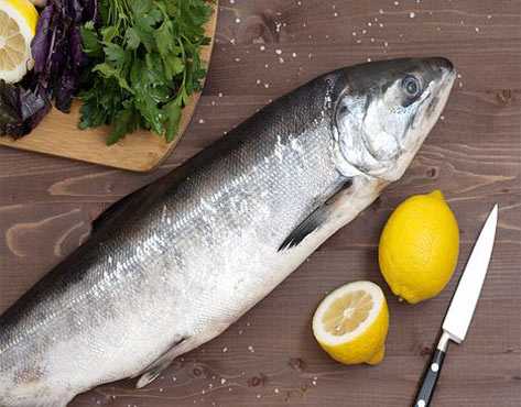 Рыбсеть: ваша возможность стать владельцем франшизы магазина морепродуктов